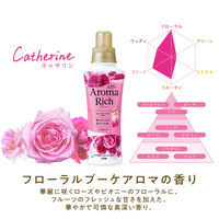 【旧品】ソフラン アロマリッチ 柔軟剤 キャサリン 詰め替え 特大 1200mL 1個 ライオン