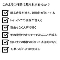 メディファスアドバンス 認知機能健康維持 7歳頃から チキン味 1.25kg（250g×5袋）1袋 ペットライン キャットフード