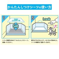 ペットプロ かんたんしつけシーツ レギュラー 120枚入 1箱 ペットプロジャパン