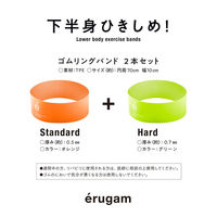 SAKURAI（サクライ） トレーニング器具 下半身ひきしめ 54183 1セット(2本入)（直送品）