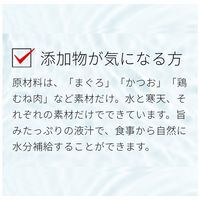 無一物 寒天ゼリータイプ かつお 一本釣り漁法 40g 48袋 はごろも キャットフード ウェット パウチ