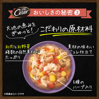 シーザー 自然素材レシピ 蒸しささみ・ラム＆さつまいも・にんじん（60g×4袋）3袋 ドッグフード ウェット パウチ