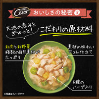 シーザー 自然素材レシピ 鶏の蒸しささみ＆さつまいも・いんげん（60g×4袋）3袋 ドッグフード ウェット パウチ