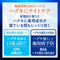 歯磨き粉 ピュオーラ PureOra36500 濃密泡ハミガキ 本体 175mL 1個 花王