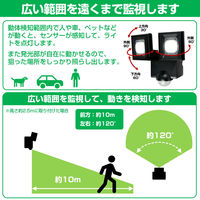 朝日電器 ソーラー式センサーライト2灯 ESL-N112SL 1個