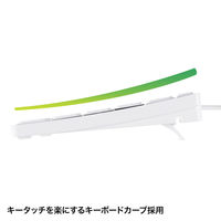 サンワサプライ USBスリムキーボード SKB-SL17WN 1個（直送品）