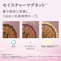 ジョージオリバー SIRTFL C.C.モイストシャンプー詰替 911664 1ケース(24個×320ML)（直送品）