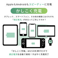 USB充電器 65W出力 PD対応 AC充電器 かしこく充電 アーモンドミルク 1個 オウルテック