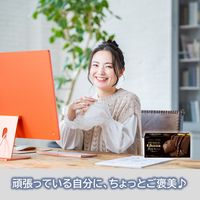 プレミアムガーナ 濃厚生チョコレート＜芳醇ミルク＞ 6個 ロッテ チョコレート