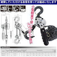 ベストアンサー レバーホイスト 0.25t VM lh-004 1台（直送品）