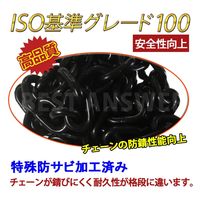 ベストアンサー レバーホイスト 1.6t VGP-1.6 シルバー 2台セット lh-006sl-2p 1セット(2台入)（直送品）