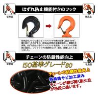 レバーホイスト 0.75ton 003 1台