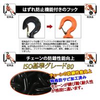 ベスト・アンサー レバーホイスト 1.0ton lh-vp100 1台