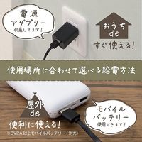 電響社 どこでもあったかブランケット ベージュ DAB-B11M-BE 1点