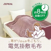 電響社 電気掛敷毛布 ブラウン DM-Y13FKSN-BR 1点