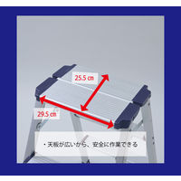 YAMAZEN 天板が広くて安心なアルミ幅広踏み台 2段 YM-DB02SG(DBL) 1台