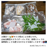 スライダーバッグ（マチ無し 冷蔵 冷凍対応） Mサイズ A5サイズがピッタリ入る 1箱（35枚入）  オリジナル（わけあり品）