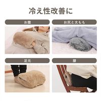 QUADS 蓄熱式湯たんぽ　肌触りのいいもふもふカバー付 ブラウン QS330BR 1台（直送品）