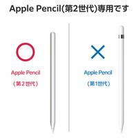 Apple Pencil 第2世代専用 ケース ハード ノック式 クリップ ホワイト TB-APE2KCWH エレコム 1個