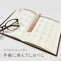 ニュアンスカラー定規 16cm シナモンシュガー NJ-16-03 1セット（5本） 共栄プラスチック（直送品）