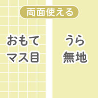 共栄プラスチック 下敷 しっかりシタ字キ A4 方眼/無地リバーシブル きなこもち SHS-A4-03 1セット(1枚×2)