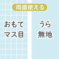 共栄プラスチック 下敷 しっかりシタ字キ A4 方眼/無地リバーシブル ラムネ SHS-A4-04 1セット(1本×2)