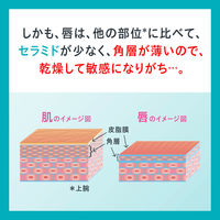 Curel（キュレル） リップケアクリーム ほんのり色づくタイプ 4.2g　花王　敏感肌