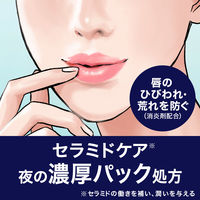 Curel（キュレル） リップケアバーム 4.2g　花王　敏感肌