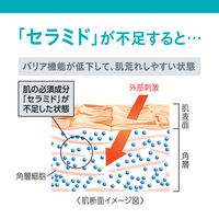 【大容量】Curel（キュレル） ローション ポンプ 615ml 通常の2.8倍 花王