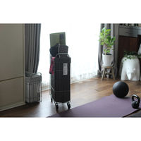 BRID 折りたたみ可能ランドリーバスケット　キャスター付き　スクエア　４０Ｌ　ライトグレー 003307 1個（直送品）