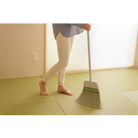 山崎産業 コンドル 座敷箒HG 長柄 4903180201297 1本