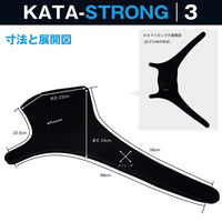 オーミヤ カタストロング3 SP-51 1枚