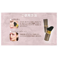 フェリセラテノン スライドブラシ ビューティーワールド