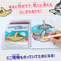 シルバーバック 水ぬりえ 海のいきもの図鑑 13701 1セット(2個)（直送品）