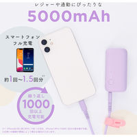 MOTTERU 軽量98g PD20W対応 5000mAh モバイルバッテリー ピスタチオ MOT-MB5001-ECPS 1個