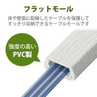 エレコム フラットモール/壁紙織目/幅21.8mm/1.0m LD-GAFW2/CL 1個