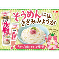 エスビー食品 S&B きざみみょうが 38g x10 17108 1セット(10個)（直送品）