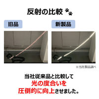 ナイトラン スポルティ反射Wカラー 首輪 中型犬用Mサイズ オレンジ 1個 アースペット