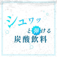 伊藤園 ニッポンエール 完熟かぼすSODA 大分県産 410ml 1セット（48本）