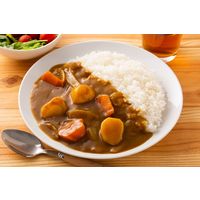 植物素材のカレー中辛フレーク 135g 3個 創健社 カレールウ カレーフレーク