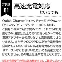エアージェイ 【+ECO】PD20W対応(USBX2TYPE-CX1)AC充電器 BK AKJ-E20WPD3 1個