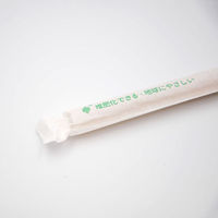 江戸川物産 サトウキビストロー φ12×210mm 紙袋入　2000枚(50枚×40) 00669654（直送品）