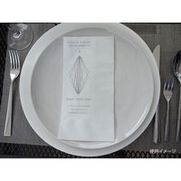 オリエンタル紙業 4ツ折ナフキン マスクサンドナプキン ホテルバージョン　2000枚(50枚×40) 658339（直送品）