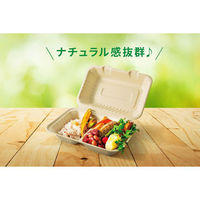 パックスタイル バガス容器 新BBランチ 200-200 00684425 1セット(1袋(50枚)×4)