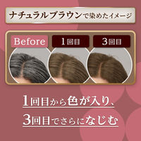 CIELO （シエロ） カラートリートメント リタッチ用 ナチュラルブラウン 140g 白髪染め ホーユー