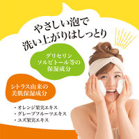 泡の洗顔料 ビタホイップ 詰替 250mL シトラスシャワーの香り マックス