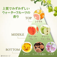 ダヴ（Dove） ボタニカルセレクション ポアビューティー 洗顔フォーム  泡タイプ 145mL ユニリーバ