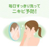 メンソレータム アクネス 薬用ふわふわな洗顔料 160mL