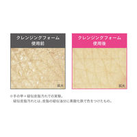 dプログラム エッセンスイン クレンジングフォーム 【敏感肌用洗顔料】 20g 資生堂