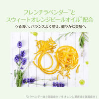 ロレアル パリ エルセーヴ ヘアオイル ボタニカル オイル ミニ 30mL (洗い流さない ヘアトリートメント)